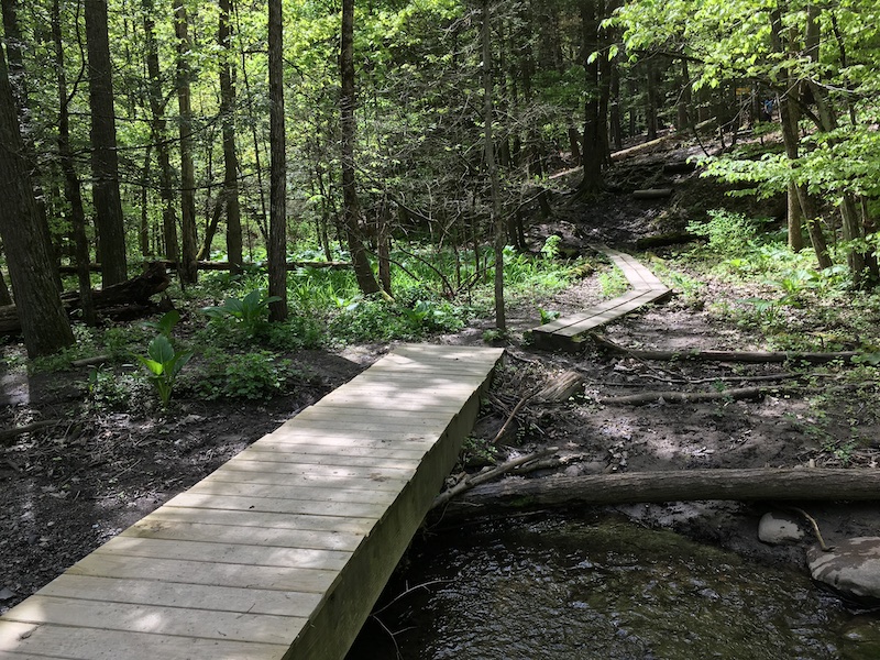 Bridge crossing the stream