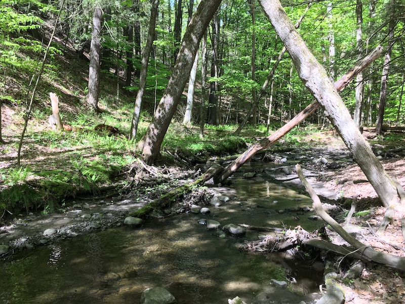 View of the Lisha Kill