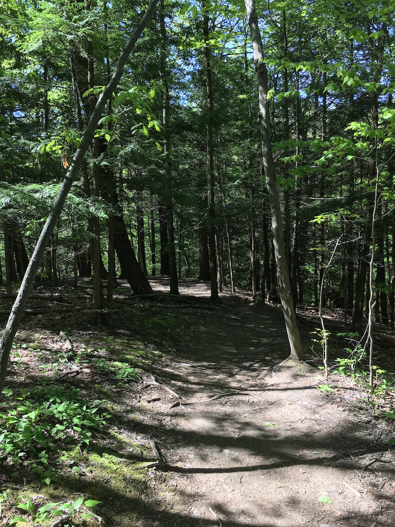 Along the trail